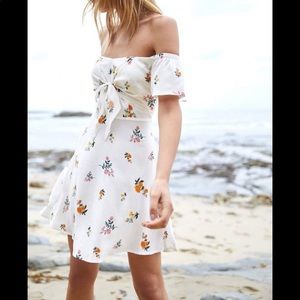 Lottie Moss Dress (PacSun)